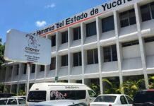 Codhey comienza a recibir donaciones para afectados en Guerrero