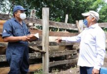 Veterinario en Tu Rancho da buenos resultados, dicen ganaderos