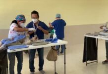 Se unen para promover la esterilización canina y felina al sur de Mérida