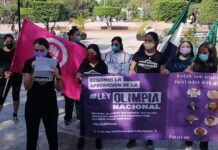 Activistas yucatecas exigen que se apruebe la Ley Olimpia