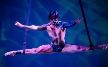 Circo contemporáneo, una oportunidad para mostrar talentos