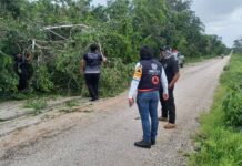Paso de «Grace» causó estragos en municipios del sur y oriente de Yucatán