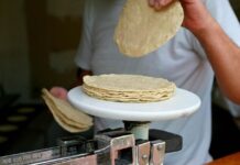 Tortillerías ilegales, fuerte competencia para molineros yucatecos
