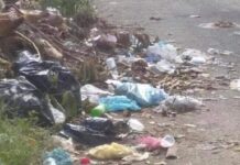 Que no sean «cochinos», dicen habitantes de Temozón