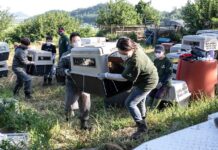 Cierra restaurante que ofrecía carne de perro para consumo humano