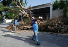 Recolectan 78 toneladas de basura ocasionada por paso del huracán Grace