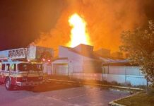 Mueren 23 gatos tras incendio en refugio para animales en Florida
