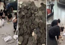 Paga su auto con monedas; empleados pasan horas contando el dinero