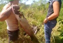 Apañan a kanasinero tirando basura en la vía pública