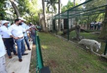 Reinauguran el zoológico «La Reina» de Tizimín con moderna imagen