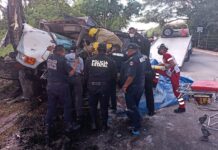 De terror, dos prensados tras estrellarse contra un árbol al oriente de Yucatán