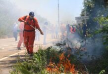 «Arman» a combatientes del fuego en Yucatán para la temporada de incendios