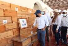 Apoyos a productores ganaderos y apícolas ante la temporada de sequía