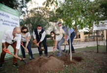 Ayuntamiento de Mérida anuncia Cruzada Ambiental: va por 15 mil nuevos árboles