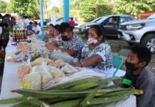 Chikindzonot celebrará la Santa Cruz con la feria de las semillas mayas