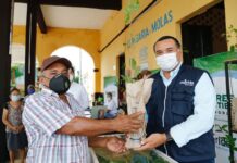 Mérida recibe por tercera vez el reconocimiento de Ciudad Árbol del Mundo