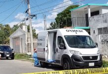 Encuentra a un viejo amigo sin vida
