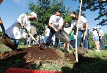 Mérida con casi 10 mil árboles sembrados en la Cruzada Forestal 2022