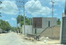 Denuncian que en Temozón Norte construcción se «come» un carril vehicular