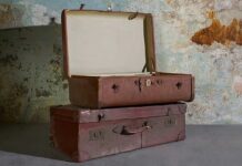 Hallan restos de dos niños en maletas subastadas en Nueva Zelanda