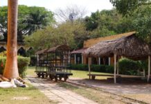 Acuerdan en Cabildo modificar límites de la Reserva Ecológica Cuxtal