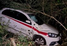 Gol-azo nocturno en montes de la carretera Kinchil-Celestún