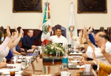 Oficial: Mérida tiene nuevo reglamento para protección de la fauna