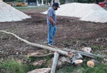 Tala de árboles enfurece a vecinos de Kimbilá
