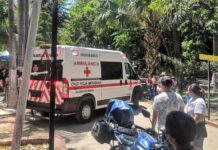 Tres lesionados: el reporte oficial del Ayuntamiento sobre el trenecito