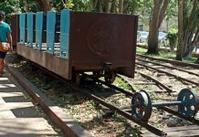 Se descarrilla el trenecito del Centenario