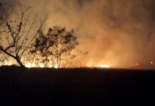 Inicia temporada de incendios en Yucatán: autoridades alertan