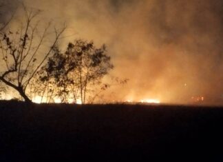 Inicia temporada de incendios en Yucatán: autoridades alertan