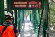 Niño sobrevive a caída en tirolesa de Monterrey Niño sobrevive a caída en tirolesa de Monterrey