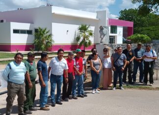 Protestan en la Conafor; exigen renuncia de funcionario