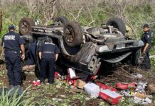 Rapiña de queso en accidente vehicular en Yucatán