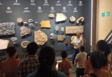 Museo del Meteorito de Progreso celebra su primer aniversario