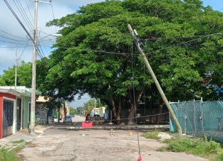 Peligro en Mulsay: Poste de teléfono amenaza a vecinos