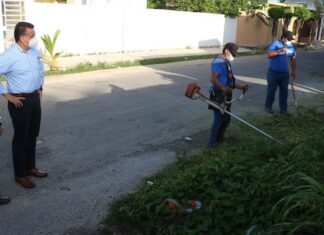 Llamado a limpiar predios y viviendas para prevenir dengue