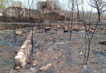 Sequía afecta cerca del 100% del territorio yucateco