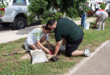 Ciudadanos y organizaciones civiles abrazan Arborizando Yucatán