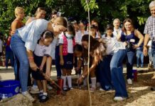 Cecilia Patrón convoca a arborizar Mérida en equipo