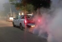 Persiste lucha contra el dengue en Mérida y el interior de Yucatán