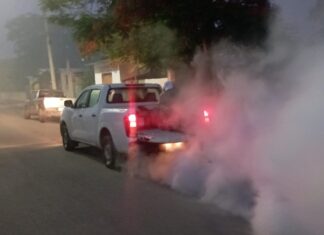 Persiste lucha contra el dengue en Mérida y el interior de Yucatán