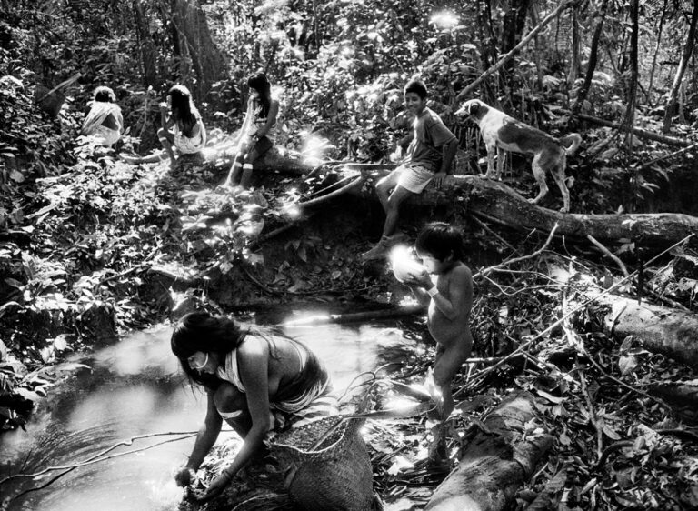 Amazonia por Salgado