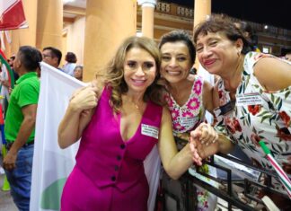 Líderes priístas necesarios para alianza PRI-PAN: Angélica Araujo