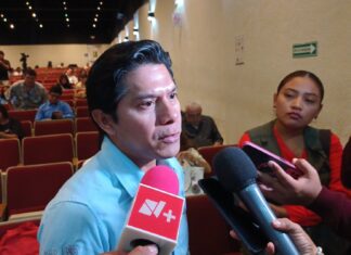 Aumenta registro anual de agresiones de perros en Yucatán