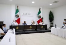 Avanzan iniciativas por derechos de la fauna en Yucatán