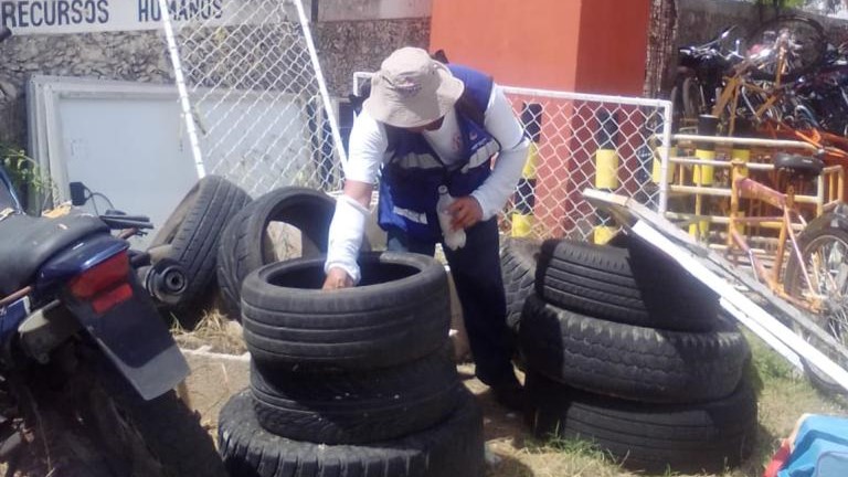 Operativo intenso de fumigación en el oriente del estado