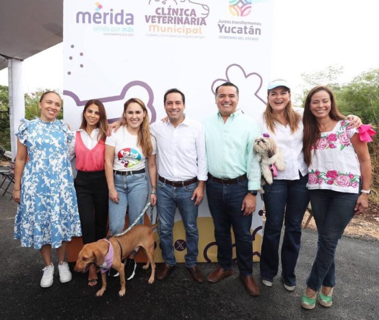 clinica veterinaria municipal