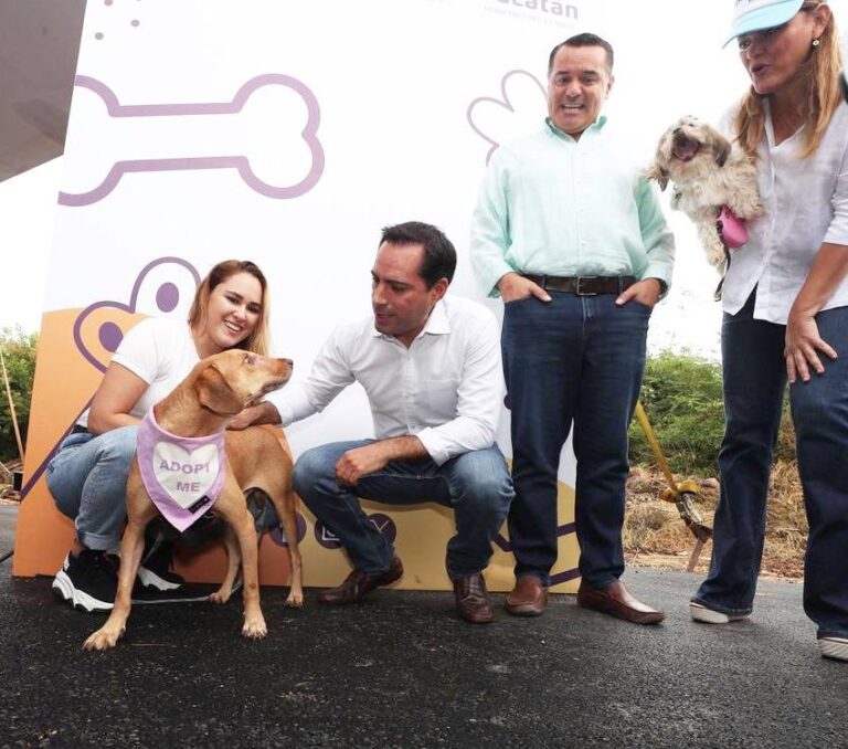 clinica veterinaria municipal